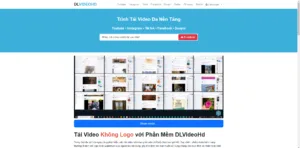 DLVIDEOHD - website download video đa nền tảng miễn phí tốt nhất
